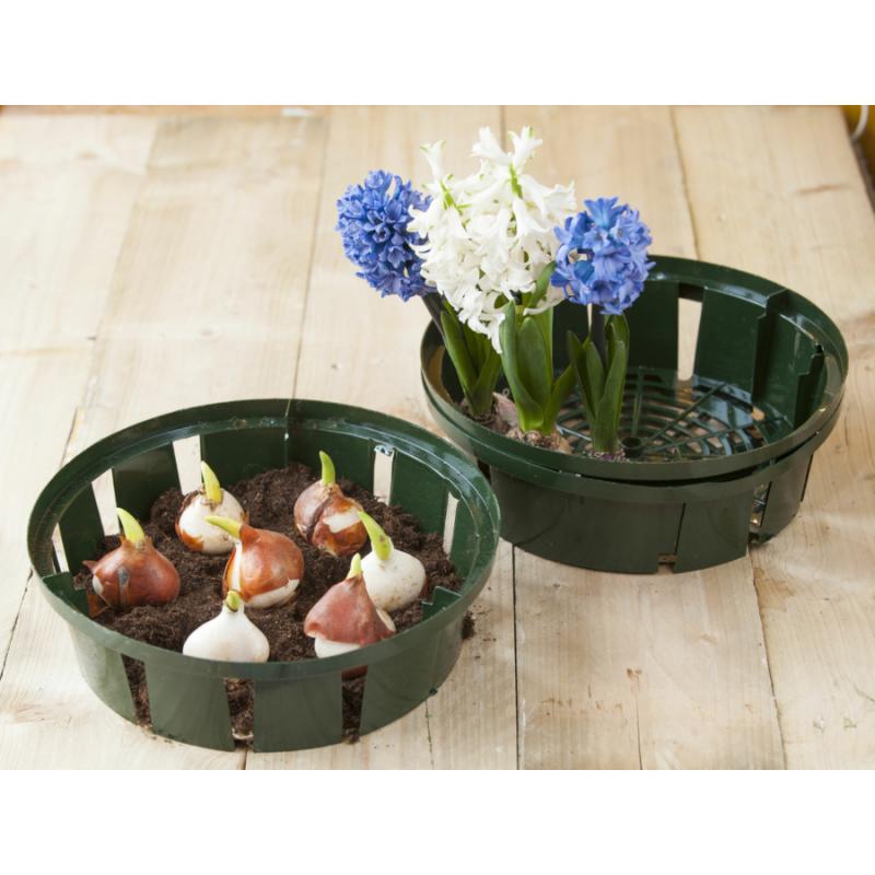 Virághagyma-ültető tálca 3 db-os készlet - kerek
