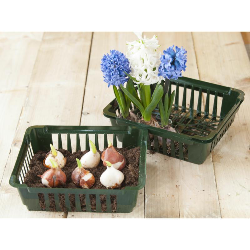Virághagyma-ültető tálca 3 db-os készlet - szögletes