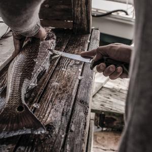 Gerber Controller 6 filézőkés 15cm integrált élezővel