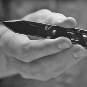 Gerber Paraframe Mini zsebkés Tanto pengével