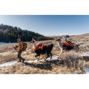 Gerber Randy Newberg DTS vadász zsebkés