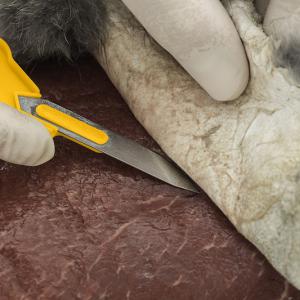 Smith's Nyúzókés szett