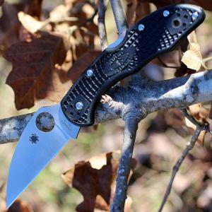 Spyderco Delica 4 Wharncliffe zsebkés