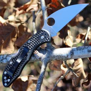 Spyderco Delica 4 Wharncliffe zsebkés