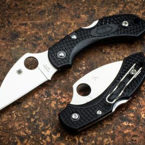 Spyderco Dragonfly 2 Wharncliffe zsebkés