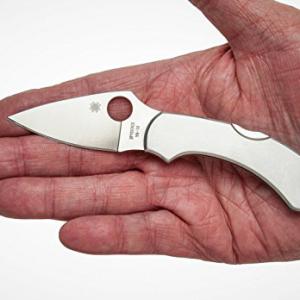 Spyderco Dragonfly Stainless zsebkés