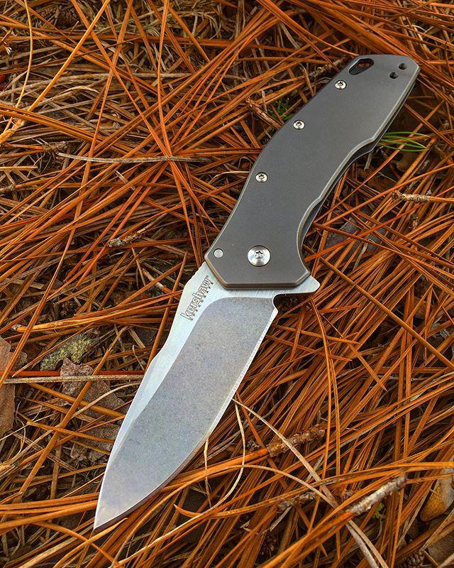 Kershaw Eris zsebkés