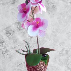 gumi orchidea