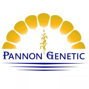 Pannon Genetic kukorica vetőmagok