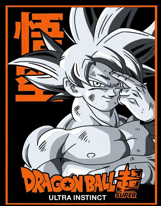 Dragon Ball minta pólóra 17