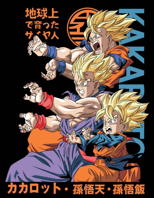 Dragon Ball mintás póló 23