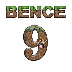 Minecraft mintás póló 10