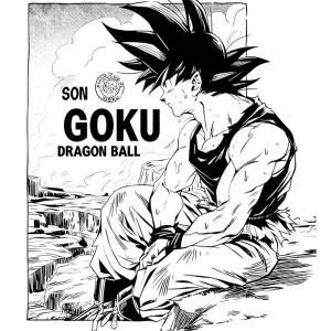 Son Goku - Dragon Ball mintás kétszínű póló
