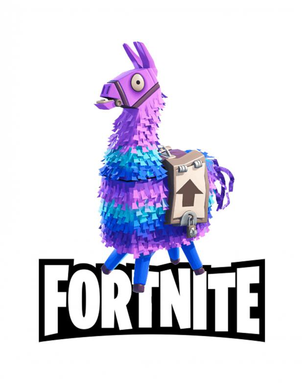 Fortnite 8 mintás póló
