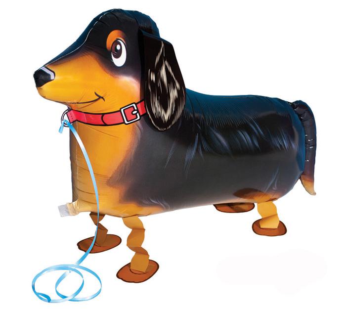 Tacskó sétáló fólia lufi