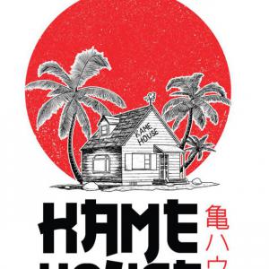 Dragon Ball minta pólóra 6