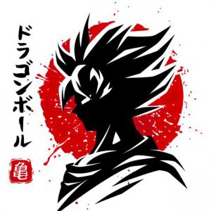 Dragon Ball minta pólóra, bögrére 25