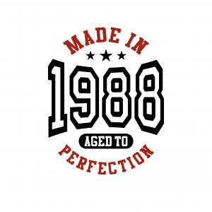 Limited Edition évszámos minta pólóra bögrére