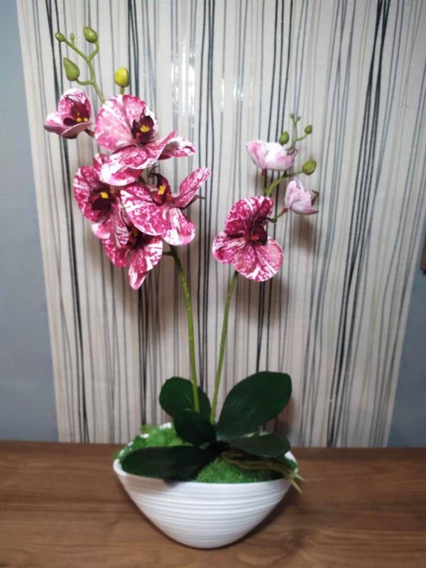 Élethű orchidea, csónak alakú kaspóban
