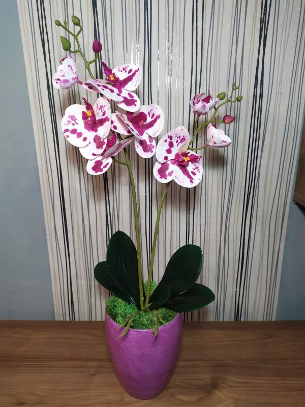 Élethű orchidea, lila kaspóban