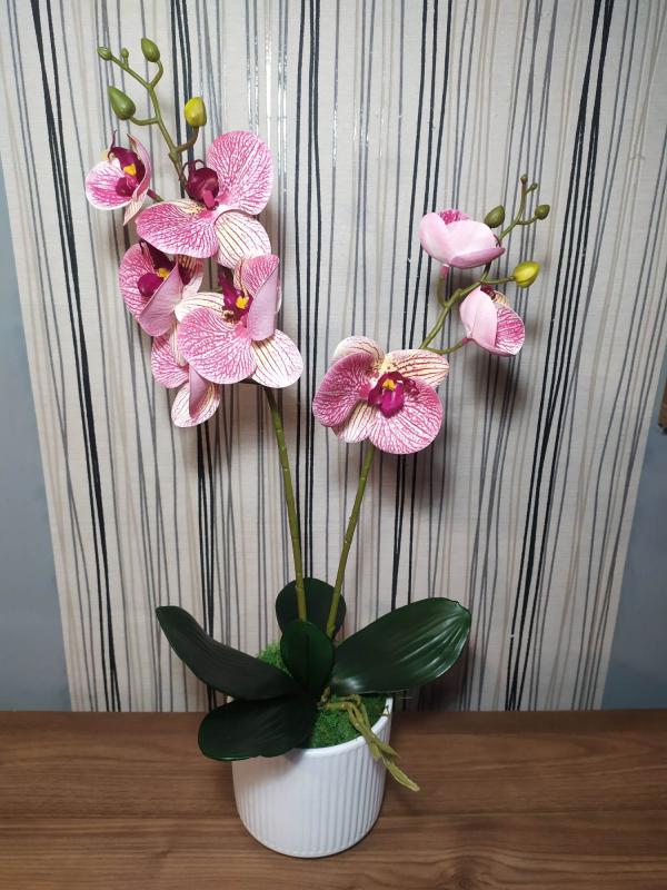 Élethű orchidea, rózsaszín cirmos, fehér bordás kaspóban