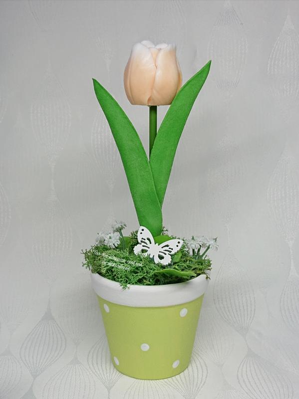 1 szál szappan tulipán pöttyös kaspóban