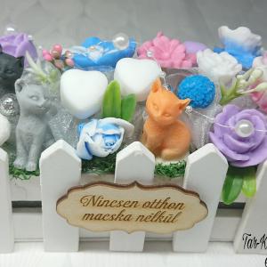 Cicás illatos virágoskert