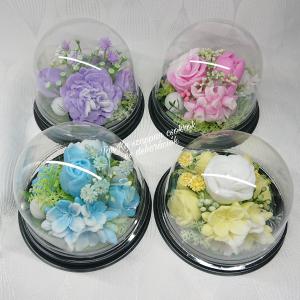 Illatos szappanvirág csokrok búrában, kupolában