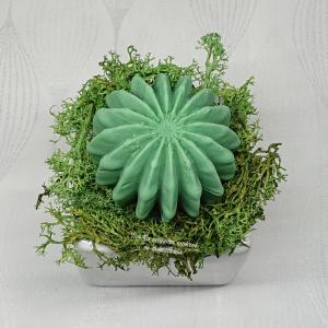 Kaktusz szappan kerámia kaspóban