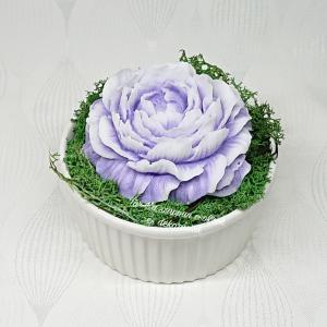 Nagy pünkösdi rózsa szappanvirág kerámia kaspóban