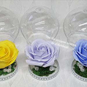 Nagy szappanrózsa búrában