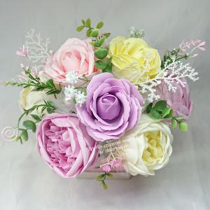 Óriás szappanvirág box