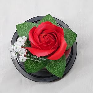 Szappanrózsa búrában