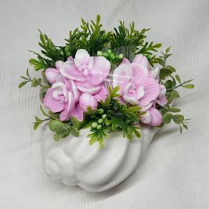 Szappanvirágok csigaházban (orchidea)