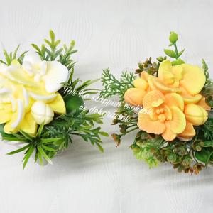 Szappanvirágok csigaházban (orchidea)