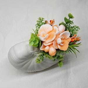 Szappanvirágok (orchidea) csigaházban