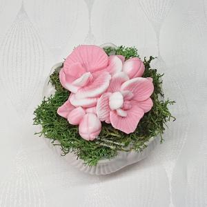 Szappanvirágok (orchidea) kis lótusz kaspóban