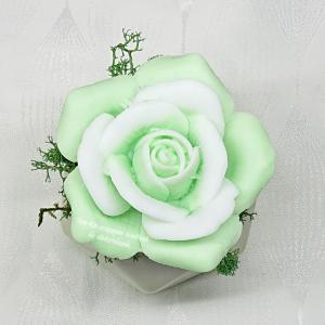 Zöld szappanrózsa színátmenetes kerámia kaspóban