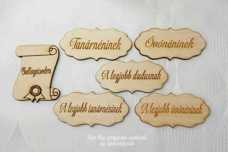 Fa táblák ballagásra és évzáróra (iskolába, óvodába vagy bölcsödébe)