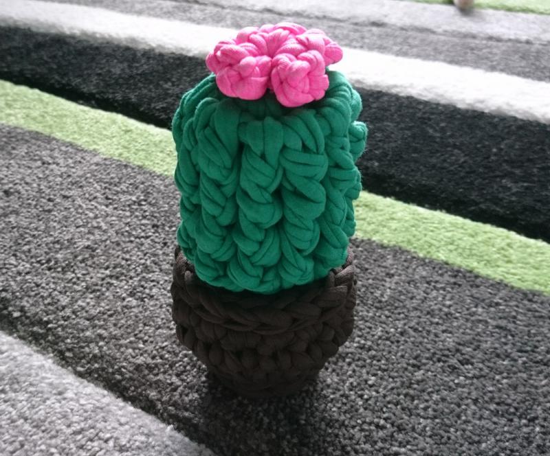 Horgolt kis kaktusz cukorkatartó