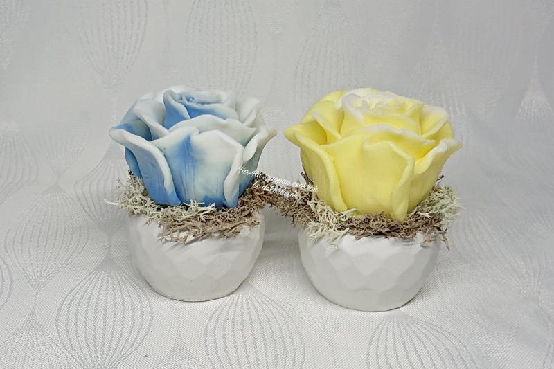 Illatos szappanrózsa mini kaspóban