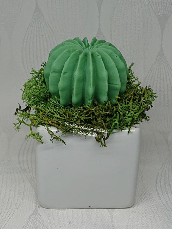 Kaktusz szappan kerámia kaspóban