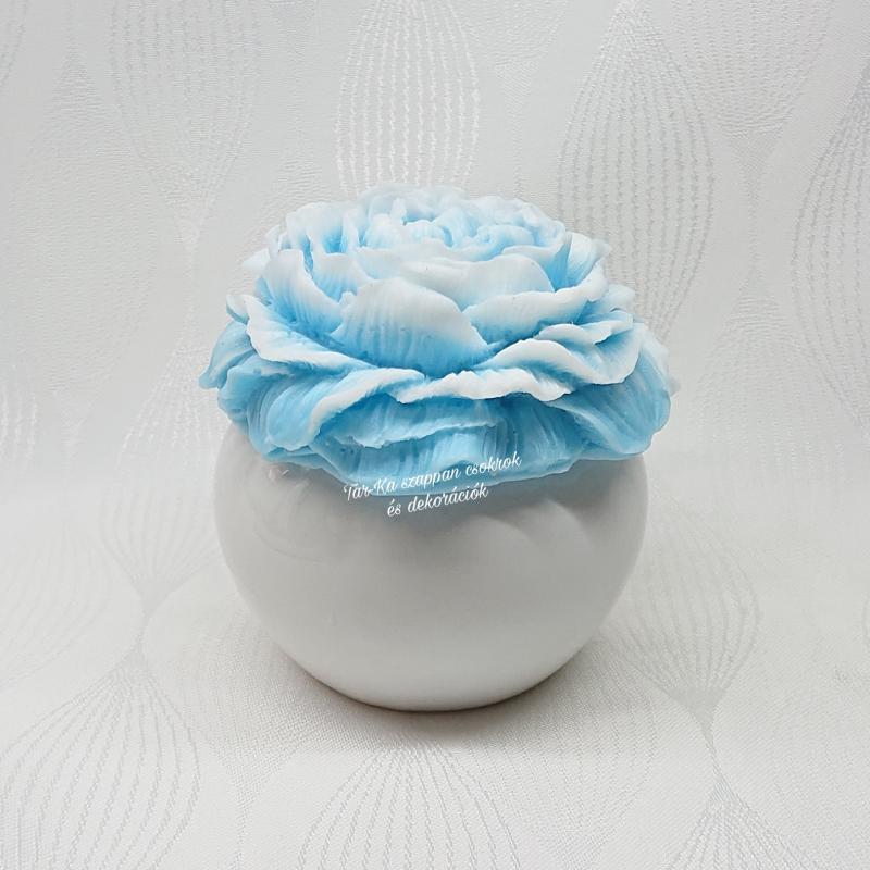 Nagy pünkösdi rózsa szappanvirág kerámia kaspóban