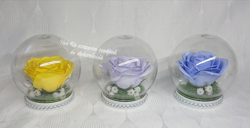 Nagy szappanrózsa búrában