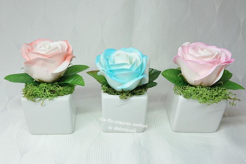 Nagy szappanrózsa kerámia kaspóban