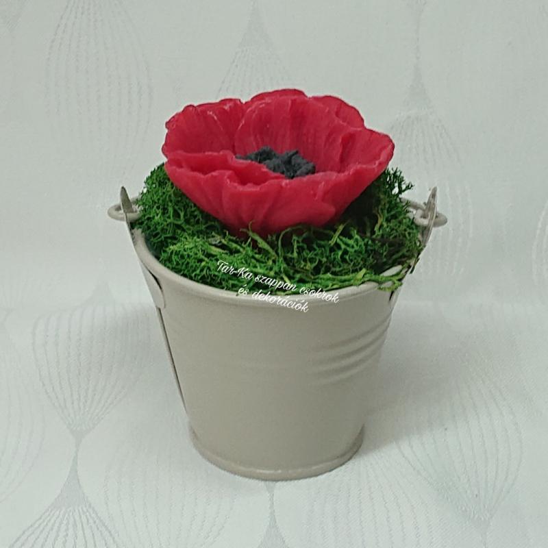 Pipacs kis fém vödörben