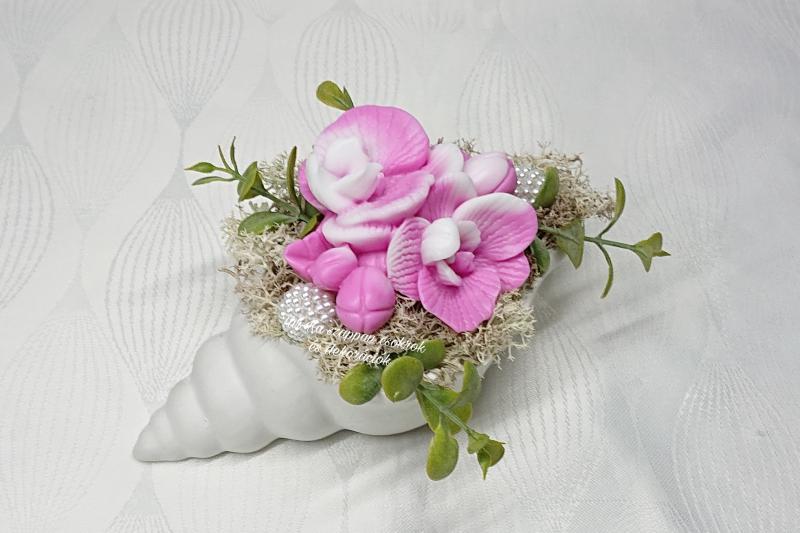 Szappanvirágok csigaházban (orchidea)