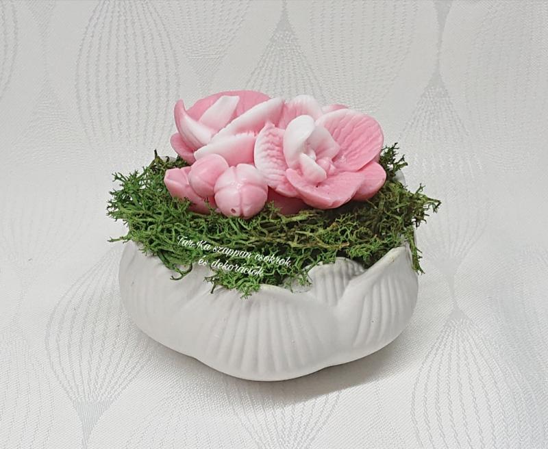 Szappanvirágok (orchidea) kis lótusz kaspóban