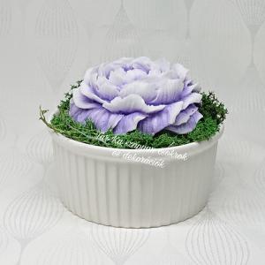 Nagy pünkösdi rózsa szappanvirág kerámia kaspóban