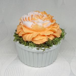 Nagy pünkösdi rózsa szappanvirág kerámia kaspóban